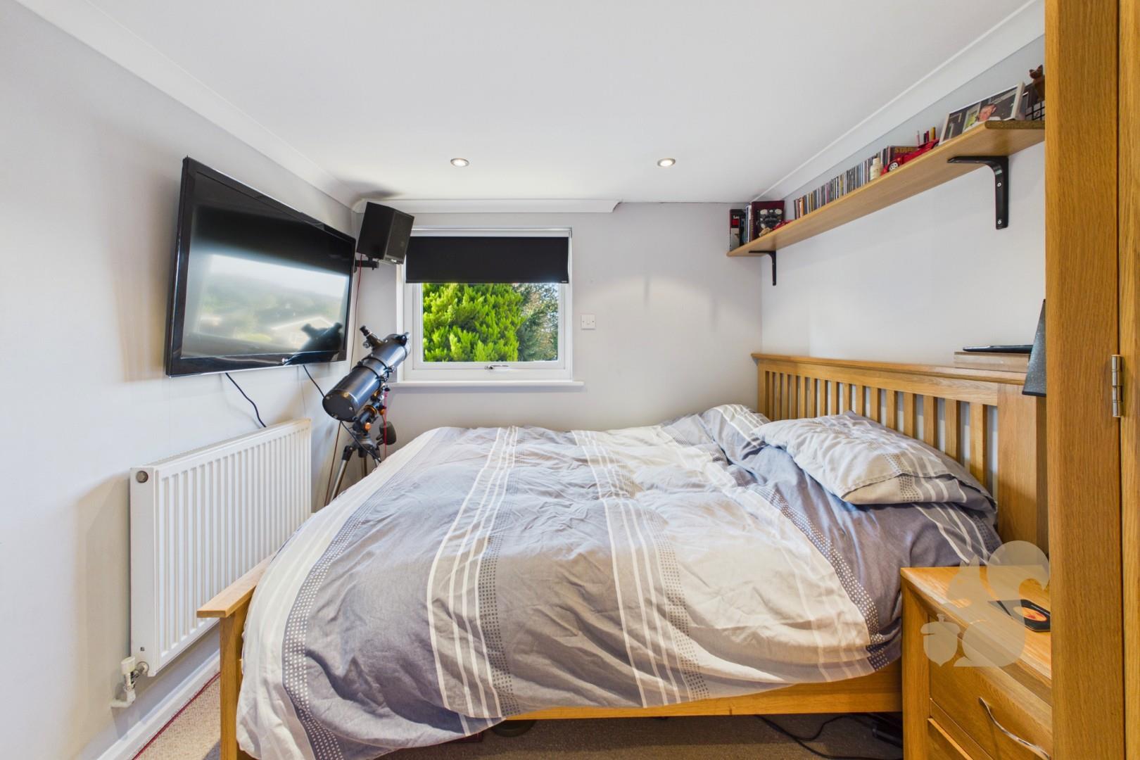 Bedroom/Study